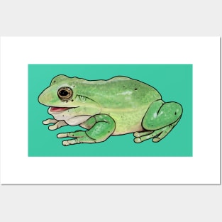 Tree Frog Posters and Art